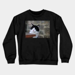 I Know They`re Talking About Me! Crewneck Sweatshirt